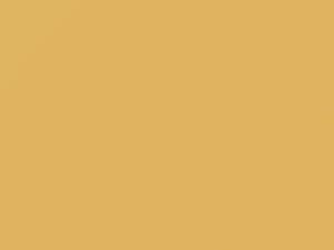 Saab All Models Alabaster Yellow 1981 187B