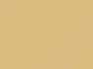 Dodge All Models Manila Cream 1981 AY69VT3, DT6564, VT3 - Scratch Repair