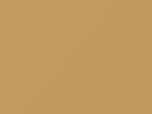 AMC All Models Jamaican Beige 1983 2J