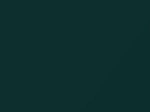 Jeep All Models Dark Green Metallic 1980 OE