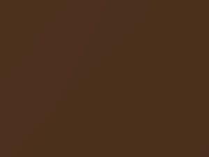 Volvo All Models Dark Brown Metallic 1981 180