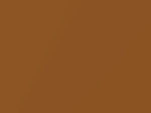 AMC All Models Autumn Brown Metallic 1987 4A