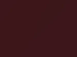 Mitsubishi All Models Provence Red Metallic 1984 AC10649, R49
