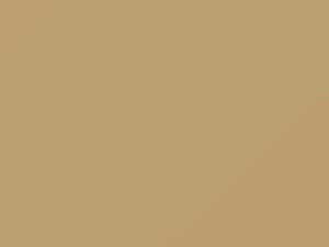 Ford All Models Light Beige/Light Wheat 1989 6T, M6223A - Scratch Repair