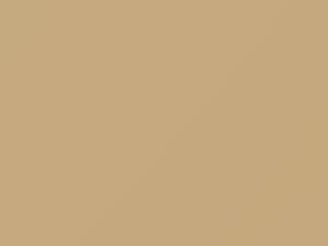 Mitsubishi All Models Mojave Beige 1987 AC10725, S25