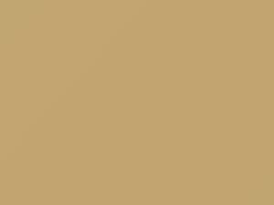 Subaru Mv Maple Beige 1990 748