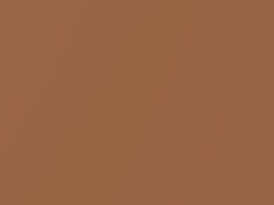 Saab All Models Gold Metallic 1982 189G - Scratch Repair