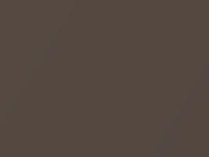 Audi All Models Sable Brown Metallic 1984 LY8V