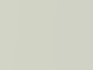 Mitsubishi All Models Flourine Pearl 1994 W94 - Scratch Repair