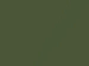 Chevrolet All Models Dark Green Metallic 1976 5242, 83, WA5242