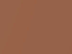 Chevrolet All Models Copper Metallic 1970 5195, 522, WA5195