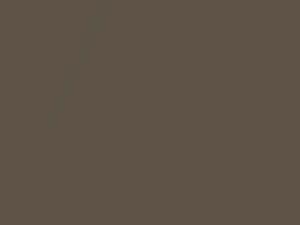 Ford All Models Dark Curry Brown Metallic 1982 69, M5827A