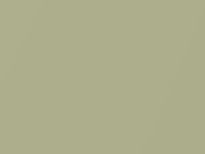 Toyota All Models Premium Yellow Green Metallic 2005 6U8