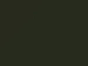 Mercedes-Benz All Models Nickel Green 1975 870