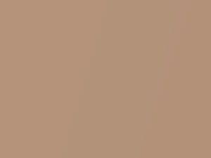 Cadillac All Models Cinnamon F/Metallic 1970 4021, 95, WA4021 - Scratch Repair