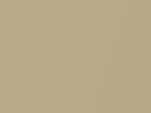 Oldsmobile All Models Sovereign Gold Metallic 1972 4236, 54, WA4236 - Scratch Repair