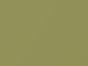 Ford All Models Light Green Gold Metallic 1975 4Z, M5125A
