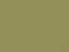 Ford All Models Light Green Gold Metallic 1975 4Z, M5125A