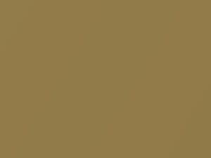 Cadillac All Models Aztec Gold F/M Metallic 1978 8016, 95, WA8016 - Scratch Repair