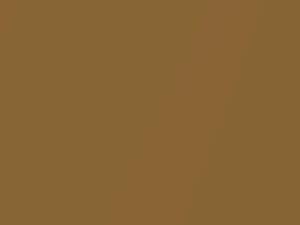Toyota All Models Bronze Amber Metallic 1972 403