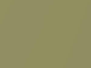Chrysler All Models April Green Metallic/Sea Green Metallic 1975 91