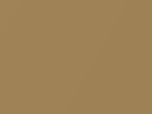 Chrysler All Models Bright Gold Metallic 1976 023, 23