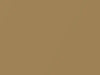 Chrysler All Models Bright Gold Metallic 1976 023, 23