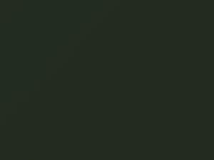 Porsche All Models Conifer Green 1981 LB6A