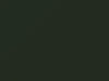 Porsche All Models Conifer Green 1981 LB6A
