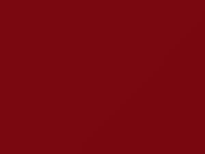 Volkswagen New Beetle Red Uni 2000 32725, G3L, LG3L, P2, P2P2