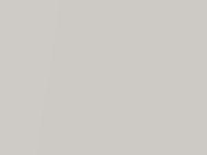 Toyota All Models Arctic Frost Pearl 2009 071, 71