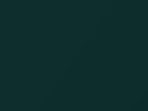 Toyota All Models Deep Jewel Green Pearl 1997 6P3