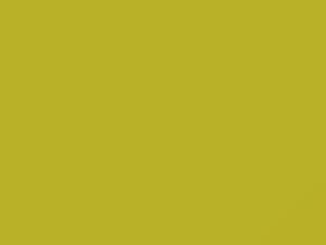 Hyundai All Models Funny Yellow 1999 JL