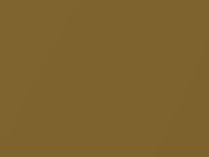 Ford All Models Medium Golden Sand Metallic 1979 6G, M5624A