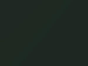 Mercedes-Benz G Class Achatgruen 2018 6815, 815 - Scratch Repair