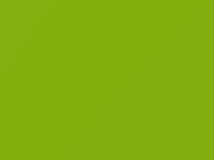 Lamborghini Urus Verde Mura 2019 154.513, 154513