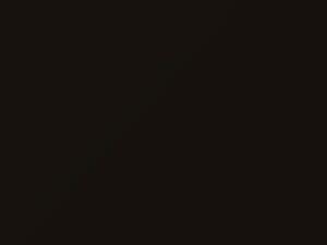 Dodge All Models Ups Brown 2019 410, P18 - Scratch Repair