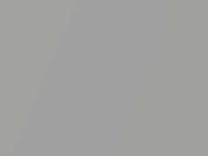 Oldsmobile Cutlass Supreme Silver Metallic 1992 13, 9021, WA9021 - Scratch Repair