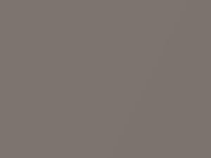 Kia All Models Stone Gray Metallic 1999 SH