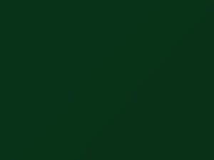 Volkswagen All Models Zambezi Green 1973 L64K