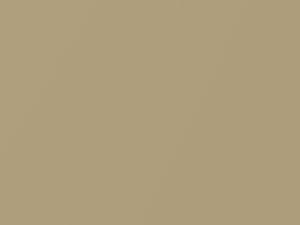 Nissan All Models Goldstone Metallic 1999 ES4 - Scratch Repair