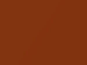 Nissan All Models Bronze Metallic 1998 CS0