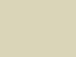 Ford All Models Special White 1994 1525, 9E, BW, C, M1525A, YG - Scratch Repair