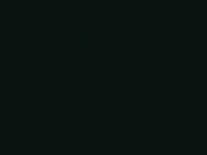 BMW 7 Series Dunkelgruen II 1999 307 - Scratch Repair