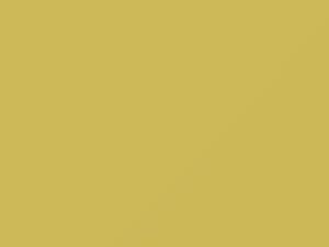 Chevrolet All Models Goldwood Yelow 1965 3231, XX - Scratch Repair