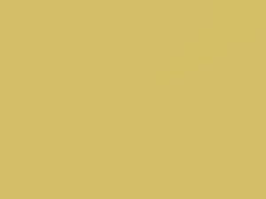 Buick All Models Bamboo Cream/Cameo Cream 1965 3313, WA3313, Y