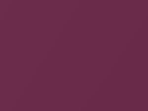 Jeep All Models Renegade Plum Metallic 1973 509