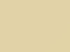 Dodge All Models Linen Cream 1981 AY69SY1, DT2611, SY1