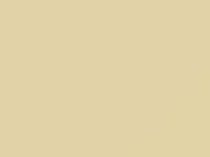 Chrysler All Models Linen Cream 1980 AY69SY1, SY1