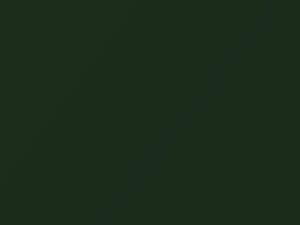 BMW All Models Wellingtongrun Metallic 1996 370 - Scratch Repair